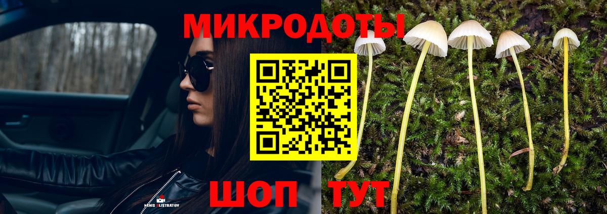 Электрогорск  где найти наркотики  Вход с VPN  Псилоцибиновые грибы мухоморы 